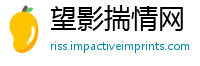 望影揣情网
